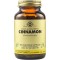 Solgar Full Potency Herbs Cinnamon 100 φυτικές κάψουλες