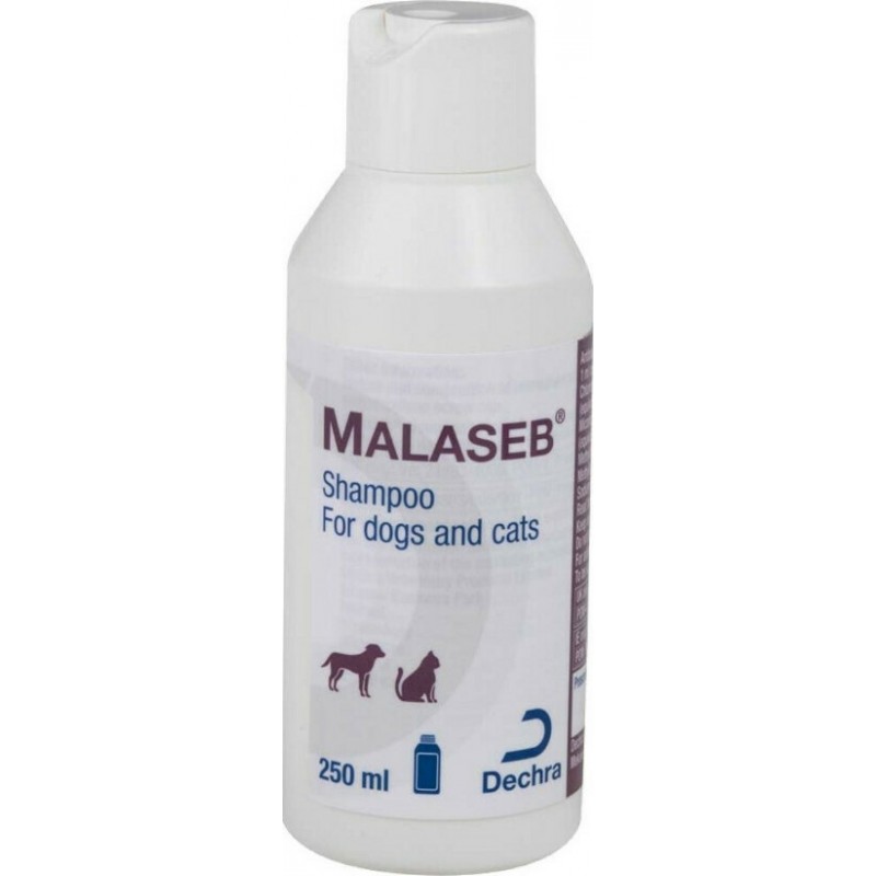 Dechra Malaseb Σαμπουάν Σκύλου 250ml Dechra Malaseb Σαμπουάν Σκύλου 250ml