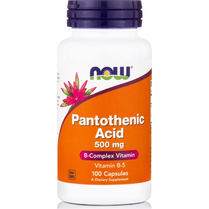 Now Foods Pantothenic Acid 500mg 100 Κάψουλες