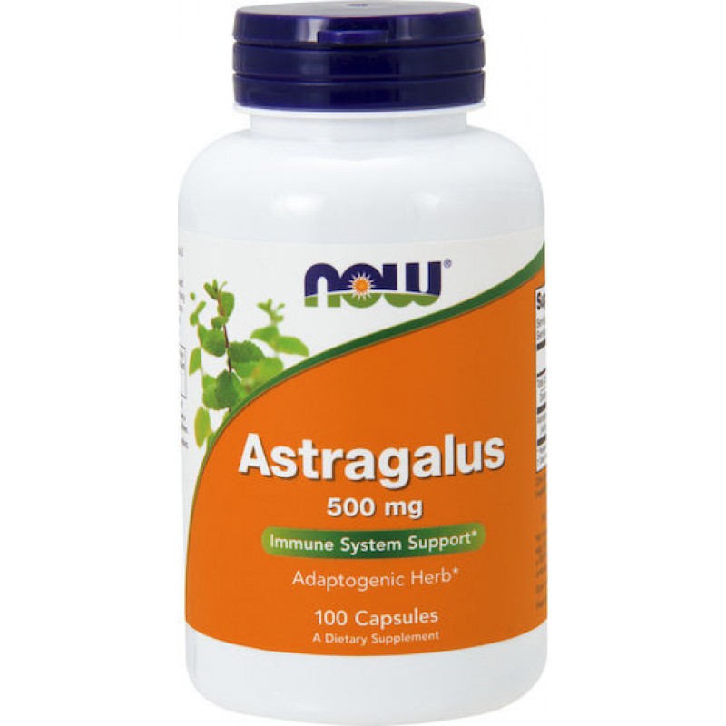 NOW FOODS ASTRAGALUS 500mg 100caps NOW FOODS ASTRAGALUS 500mg 100caps