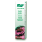 A.VOGEL ECHINACEA PASTE 100GR